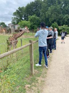 Les stagiaires du PADV au Parc du Reynou - L'enclos des girafes
