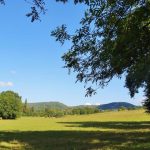 chemin-des-lavoirs-paysage