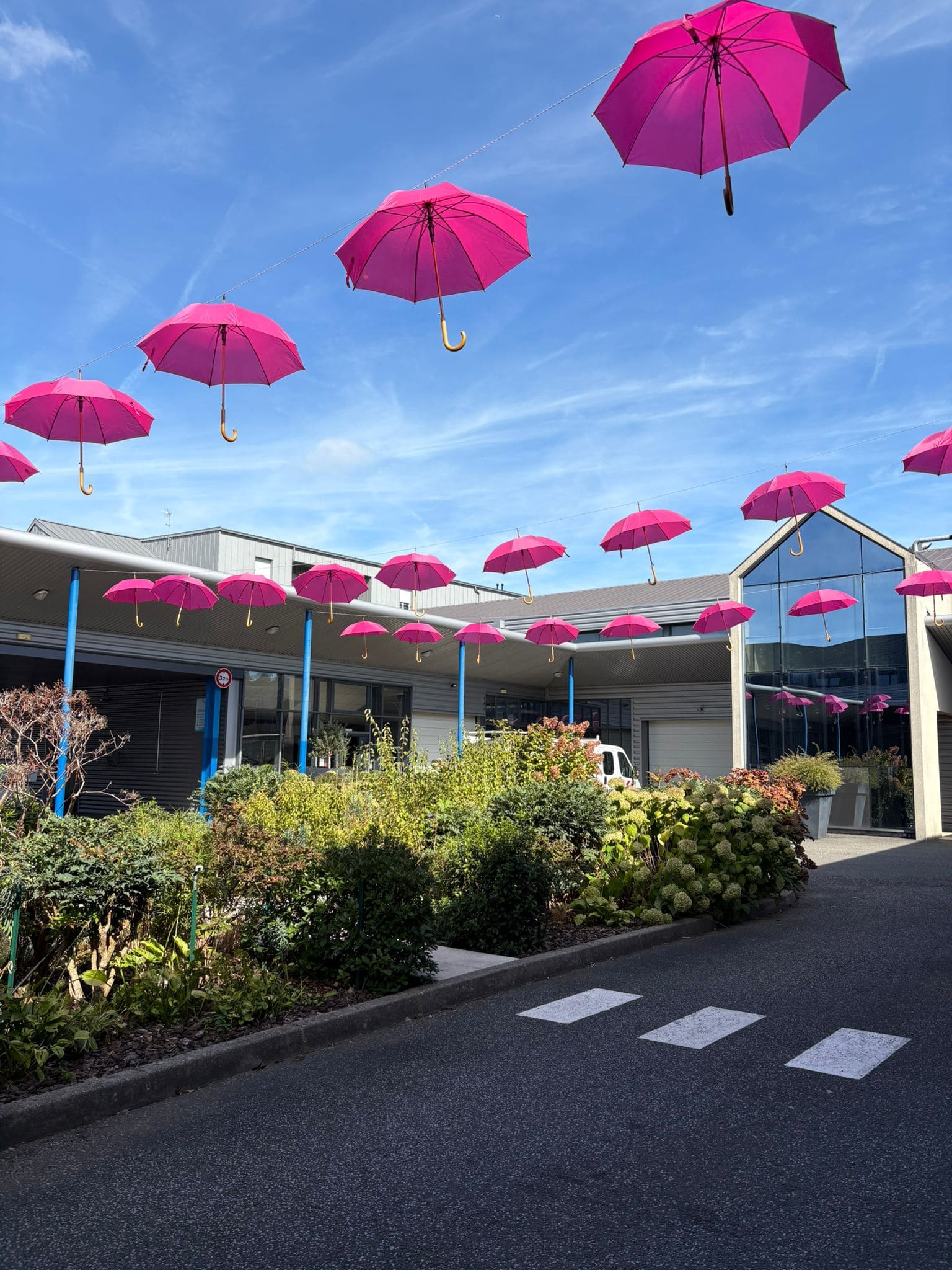 Octobre rose