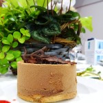 Dessert au chocolat
